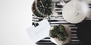 Beitragsbild des Blogbeitrags Licht und Pflanzen