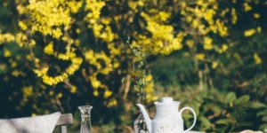 Beitragsbild des Blogbeitrags ich freue mich auf die Gartensaison!