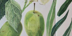 Beitragsbild des Blogbeitrags Atelierblicke #2