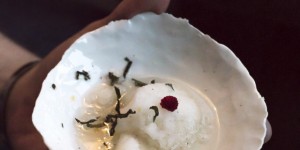 Beitragsbild des Blogbeitrags Sorbet_aus „Pedacola“