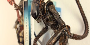 Beitragsbild des Blogbeitrags Alien im Schnelldurchlauf
