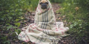 Beitragsbild des Blogbeitrags Konzentration. Mein Vor-Internet-Gehirn wusste noch, wie das geht.