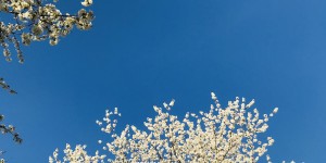 Beitragsbild des Blogbeitrags 4 Wochen #Stayathome