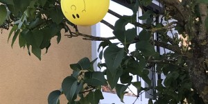 Beitragsbild des Blogbeitrags Erster letzter Schultag