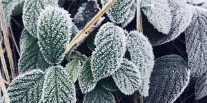 Beitragsbild des Blogbeitrags Loco Tag 3-6