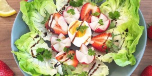 Beitragsbild des Blogbeitrags SALAT – Gesund, köstlich, sättigend 