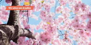 Beitragsbild des Blogbeitrags Photo-Hotspots für die Frühlingszeit