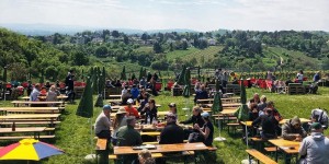 Beitragsbild des Blogbeitrags Die schönsten Heurigen in Wien – Teil 2 