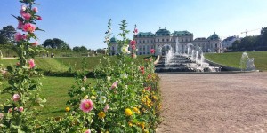 Beitragsbild des Blogbeitrags Das perfekte Pfingstwochenende in Wien