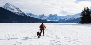 Beitragsbild des Blogbeitrags Die besten Strecken zum Langlaufen in Österreich 