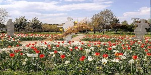 Beitragsbild des Blogbeitrags Sonnige Ausflugsziele für Wien
