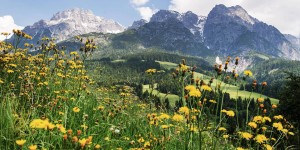 Beitragsbild des Blogbeitrags 10 Dinge, die du im Sommer im SalzburgerLand machen kannst 