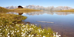 Beitragsbild des Blogbeitrags Sommerurlaub in Tirol