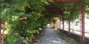 Beitragsbild des Blogbeitrags Endstationenguide: Floridsdorf
