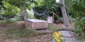 Beitragsbild des Blogbeitrags Die grüne Oase im Aufbau: Die vienna.transitionBASE in Seestadt
