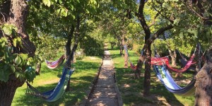 Beitragsbild des Blogbeitrags 10 Dinge, die man im Juli in Wien machen muss