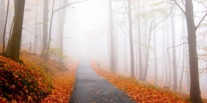 Beitragsbild des Blogbeitrags Tipps gegen den Herbstblues 