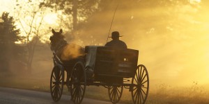 Beitragsbild des Blogbeitrags An den anonymen Fiaker-Fahrer