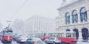 Beitragsbild des Blogbeitrags Unser Senf: Warum der erste Schnee in Wien immer der schönste ist 