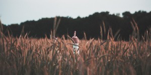 Beitragsbild des Blogbeitrags Wien ist eine der unfreundlichsten Städte der Welt