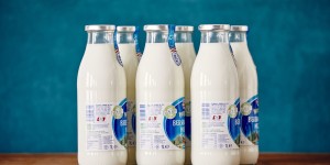 Beitragsbild des Blogbeitrags Berglandmilch bringt die Milch in der Mehrweg-Glasflasche zurück 