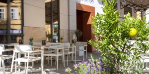 Beitragsbild des Blogbeitrags Abendessen in Wien – Teil 1