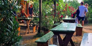 Beitragsbild des Blogbeitrags Die schönsten Heurigen der Stadt