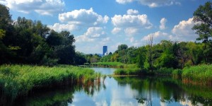 Beitragsbild des Blogbeitrags Naturbadeplätze in Wien