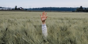 Beitragsbild des Blogbeitrags Unser Senf: Warum das Begrüßen größerer Runden schwierig ist