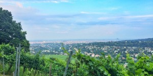 Beitragsbild des Blogbeitrags Die schönsten Ruheoasen für Spaziergänge in Wien