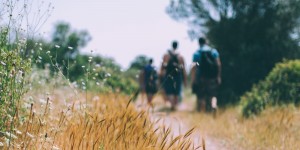 Beitragsbild des Blogbeitrags Unsere liebsten Themenwanderungen in Österreich