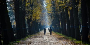 Beitragsbild des Blogbeitrags Die schönsten Herbstspaziergänge in Wien 