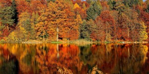 Beitragsbild des Blogbeitrags Die schönsten Indian Summer Orte in ganz Österreich