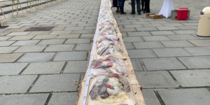 Beitragsbild des Blogbeitrags Habemus Brettljause: Wien hat die längste