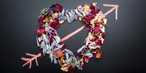 Beitragsbild des Blogbeitrags Ausgefallene Programmpunkte für den Valentinstag in Niederösterreich 