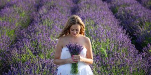Beitragsbild des Blogbeitrags Alles rund um Lavendel: wo Österreich Provence-Flair bietet