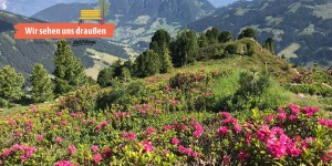 Beitragsbild des Blogbeitrags Blütezeit: Wo es in Österreich am schönsten blüht 