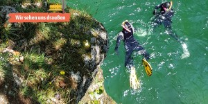 Beitragsbild des Blogbeitrags Tauchen in Österreich: von Wracks bis Unterwasserwälder 