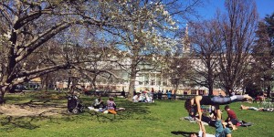 Beitragsbild des Blogbeitrags Schöne Orte zum Picknicken in Wien