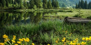 Beitragsbild des Blogbeitrags Die richtigen Antworten zu unserem Steirisch-Quiz 