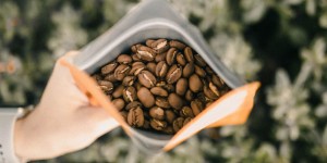 Beitragsbild des Blogbeitrags Die besten Wiener Adressen für Spezialitätenkaffee – Teil 1