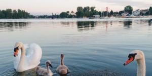 Beitragsbild des Blogbeitrags Unsere Programmvorschau für den Juli 2020