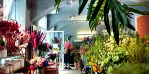 Beitragsbild des Blogbeitrags Wiens üppigste Blumenläden 