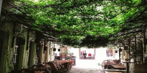 Beitragsbild des Blogbeitrags Weekend-Preview: Highlights am Wochenende in Wien, die ihr nicht verpassen solltet