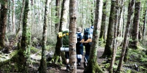 Beitragsbild des Blogbeitrags Die schönsten Backpacking-Routen durch Österreich