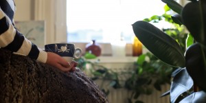 Beitragsbild des Blogbeitrags Unsere Tipps für Stubenhocker