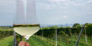 Beitragsbild des Blogbeitrags 10 Dinge, die man im September in Wien machen muss
