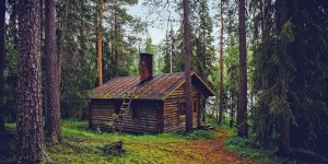 Beitragsbild des Blogbeitrags So reagiert Twitter auf Trumps „Waldstädte“