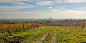 Beitragsbild des Blogbeitrags 10 Dinge, die man im Herbst in Wien machen muss