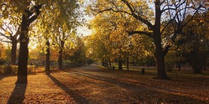 Beitragsbild des Blogbeitrags Programmvorschau für den Oktober in Wien